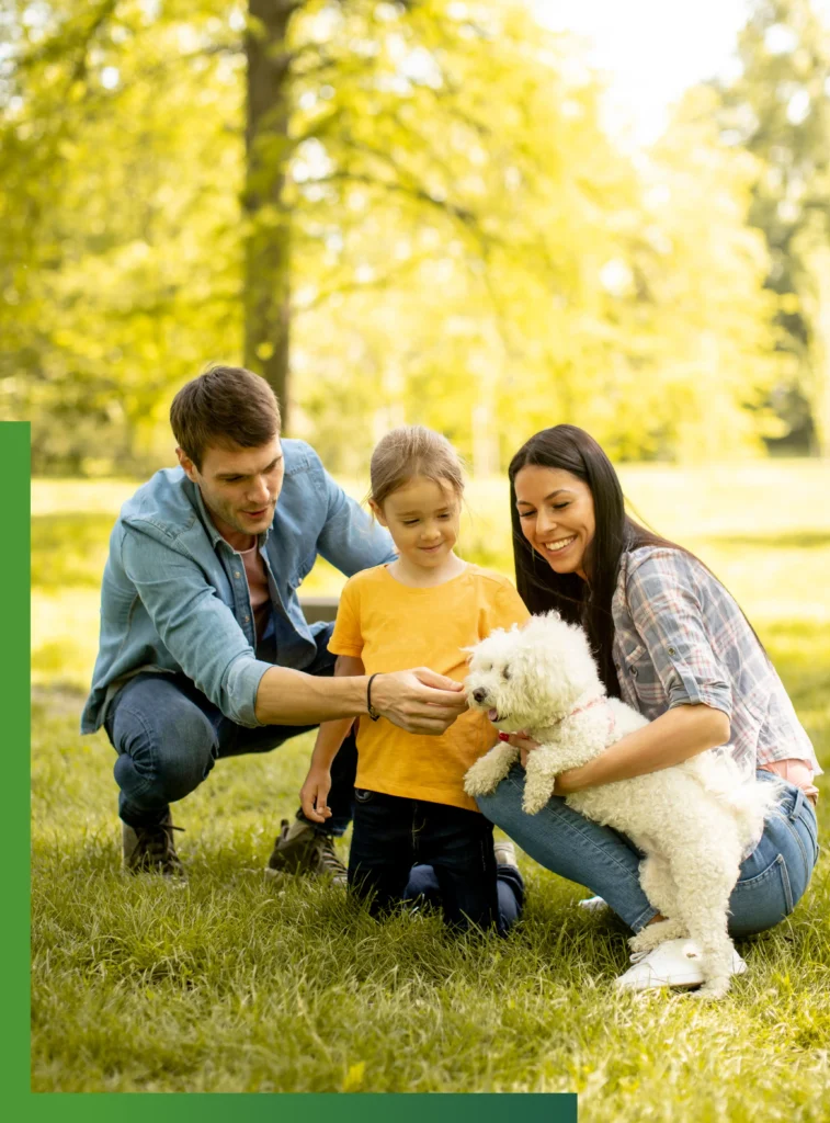 Insurance for expats